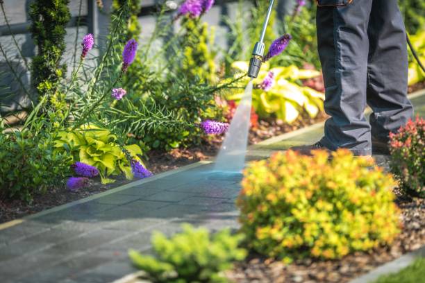 Best Fence Cleaning  in Syracuse, UT